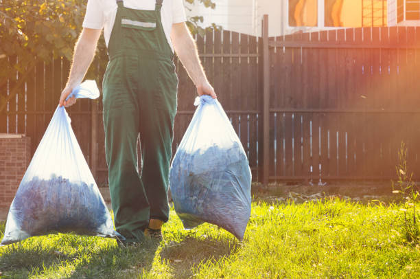 Best Shed Removal  in Decorah, IA